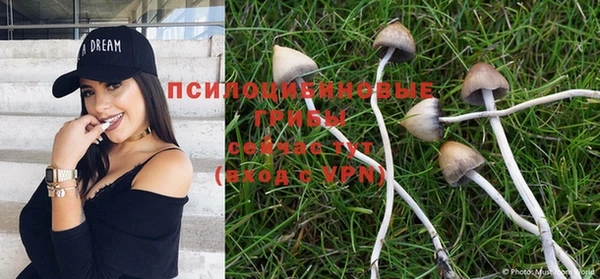 не бодяженный Алзамай