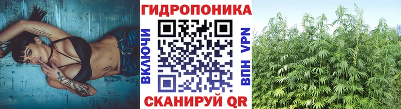 магазин    Ейск  Марихуана AK-47 